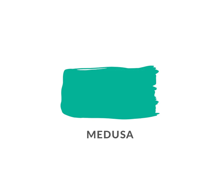 Medusa - Graffiti Pop - Clay and Chalk Paint